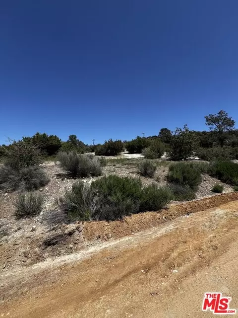 25200 Sunview Dr, Tehachapi, CA 93561 photo 3