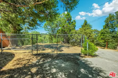 29198 Lake Brook Ave, Cedar Glen, CA 92321 photo 6
