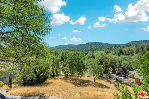 29198 Lake Brook Ave, Cedar Glen, CA 92321 photo 9