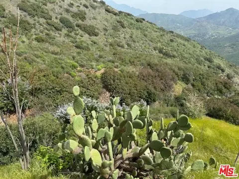 0 Cotharin Rd, Malibu, CA 90265 photo 5