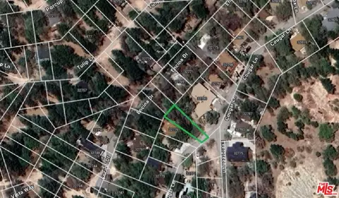 32780 Cougar Ln, Running Springs, CA 92382