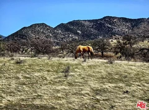 14526 Caliente Creek Rd, Caliente, CA 93518 photo 6