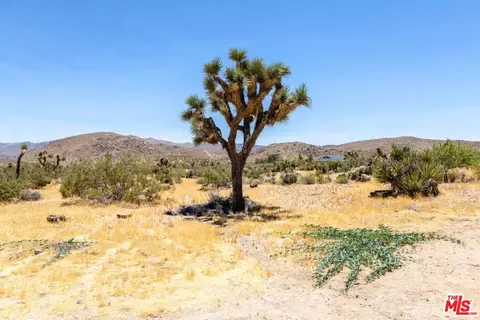 60229 Scotts Glen Rd, Joshua Tree, CA 92252 photo 34
