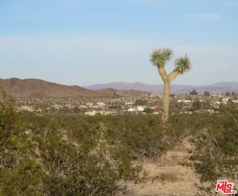 0 Stonehill Polaris Ave, Joshua Tree, CA 92252
