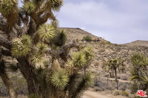 2339 Inca Trl, Yucca Valley, CA 92284 photo 31