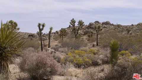 2339 Inca Trl, Yucca Valley, CA 92284 photo 32