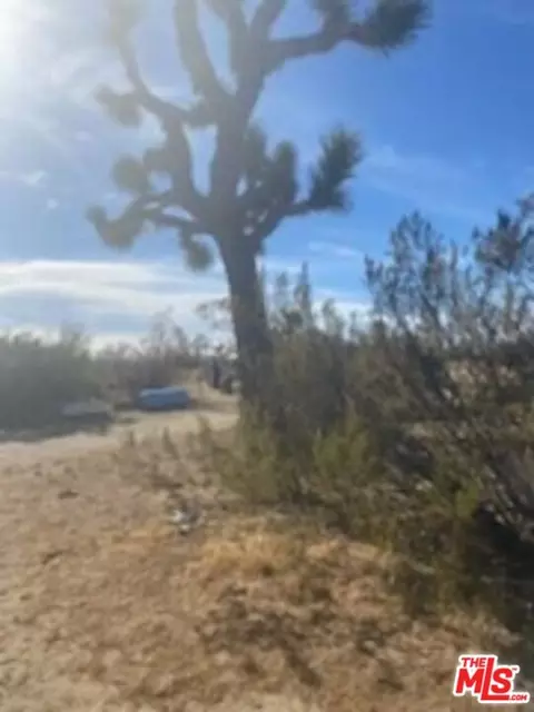 6000 W 140th St W, Rosamond, CA 93560