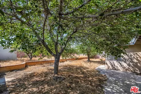 38869 Juniper Tree Rd, Palmdale, CA 93551 photo 14