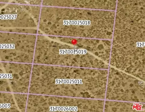0 3170025019, Palmdale, CA 93550