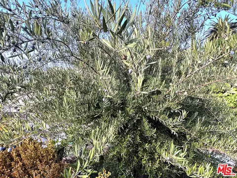 Other - 451 Palm Dr, Glendale, CA 91202 photo 7 of 8