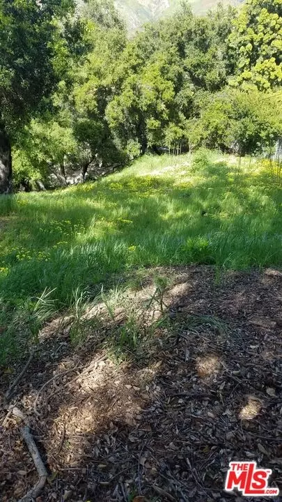 26247 Fairside Rd, Malibu, CA 90265 photo 5