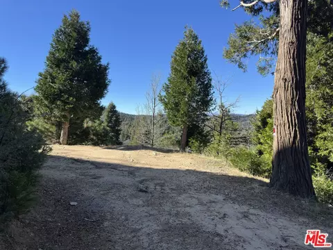 101 Mill Pond Rd, Lake Arrowhead, CA 92352
