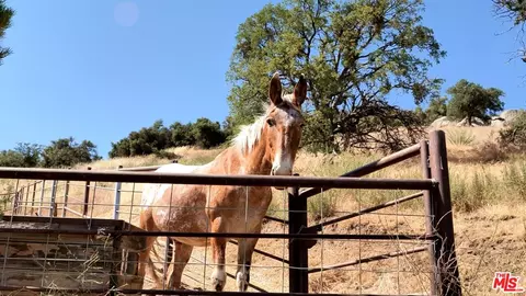 24409 San Juan Dr, Tehachapi, CA 93561 photo 9