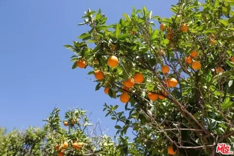 Undisclosed, Somis, CA 93066 photo 44