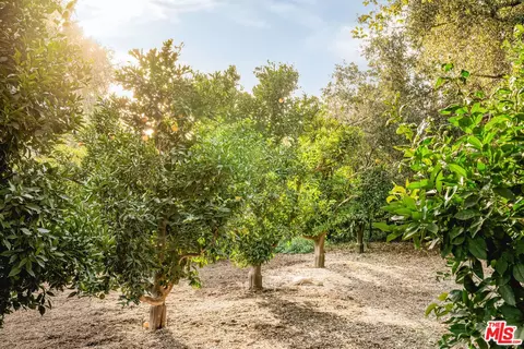 483 El Jina Ln, Ojai, CA 93023 photo 26