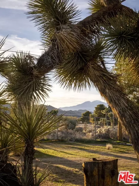 58449 Joshua Ln, Yucca Valley, CA 92284 photo 33