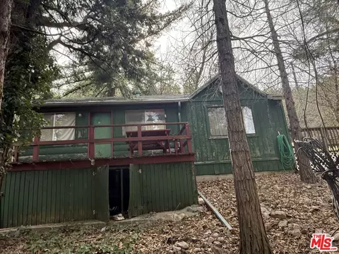 21801 Plunge Rd, Cedarpines Park, CA 92322