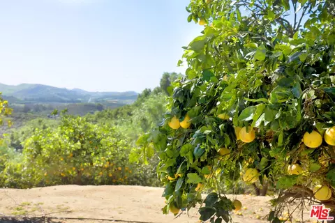 Other - 8018 Balcom Canyon Rd, Somis, CA 93066 photo 7 of 8