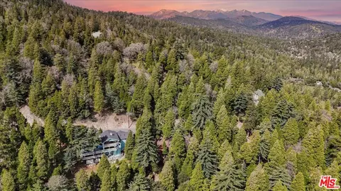 Other - 24310 Altdorf Dr, Crestline, CA 92325 photo 22 of 23