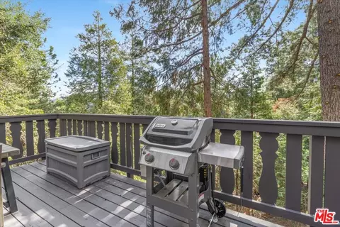 Exterior - 24310 Altdorf Dr, Crestline, CA 92325 photo 13 of 14