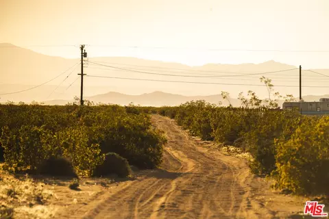 1304 Mile Square Rd, Joshua Tree, CA 92252 photo 28