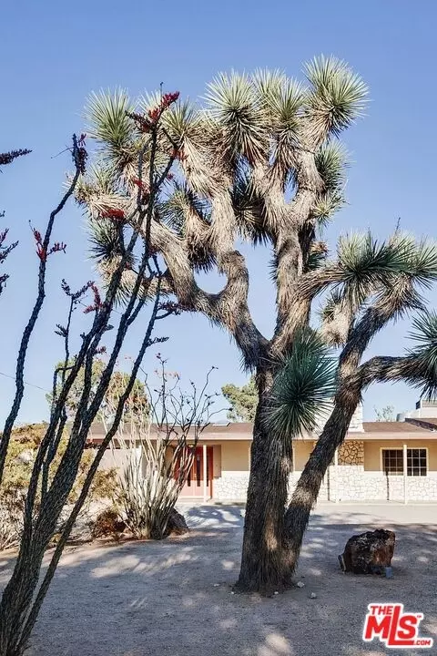 Exterior - 7435 Palomar Ave, Yucca Valley, CA 92284 photo 4 of 4
