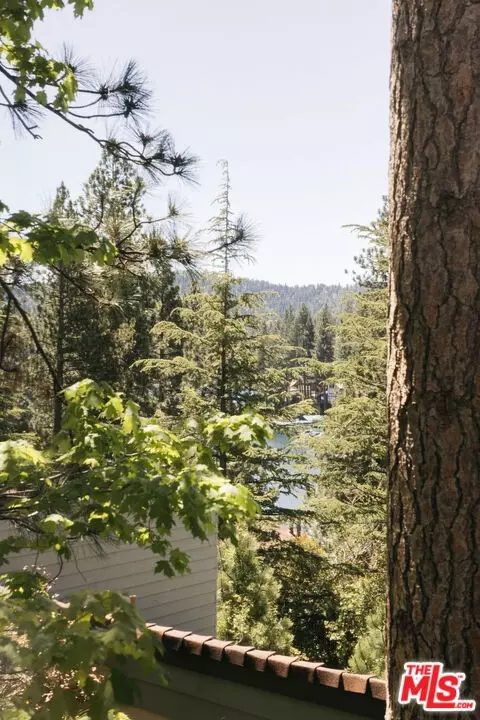 Other - 27721 Peninsula Dr #228, Lake Arrowhead, CA 92352 photo 4 of 8