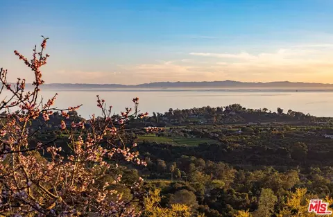 View/Area - 7401 Shepard Mesa Rd, Carpinteria, CA 93013 photo 6 of 7