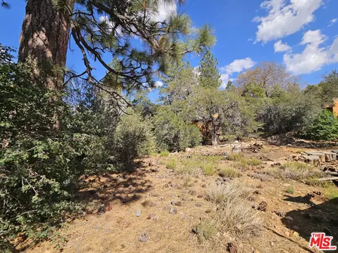 845 Moreno Ln, Sugarloaf, CA 92386 photo 18
