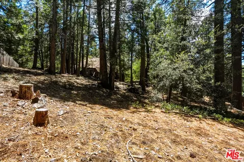 Exterior - 55000 Daryll Rd, Idyllwild, CA 92549 photo 8 of 9