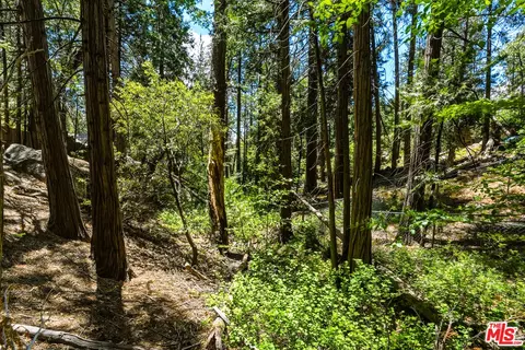 Other - 55000 Daryll Rd, Idyllwild, CA 92549 photo 13 of 13