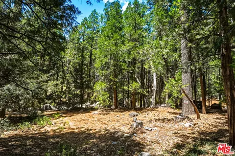 Exterior - 55000 Daryll Rd, Idyllwild, CA 92549 photo 9 of 9