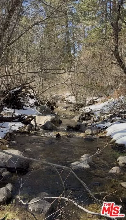 53250 Meadow Dr, Idyllwild, CA 92549 photo 36