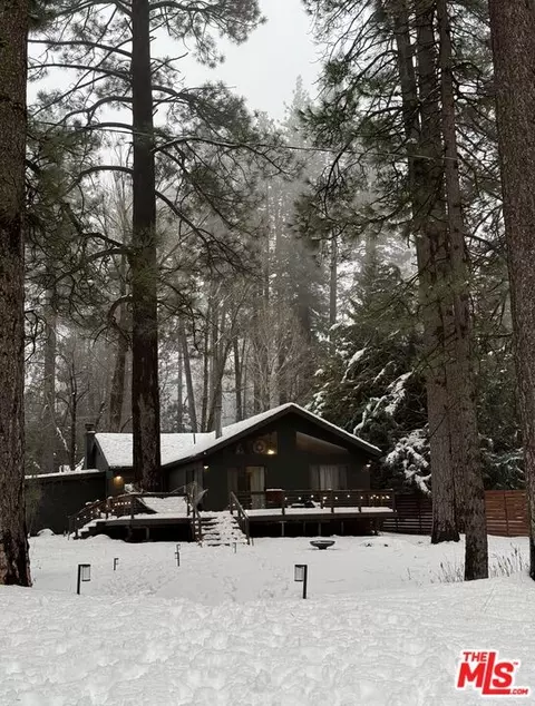 53250 Meadow Dr, Idyllwild, CA 92549 photo 35