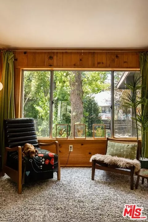 53250 Meadow Dr, Idyllwild, CA 92549 photo 18