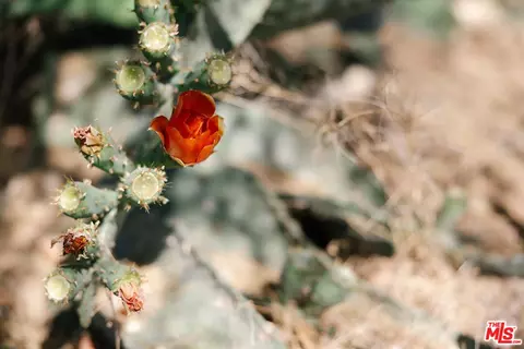 Other - 56435 Carlyle Dr, Yucca Valley, CA 92284 photo 4 of 5