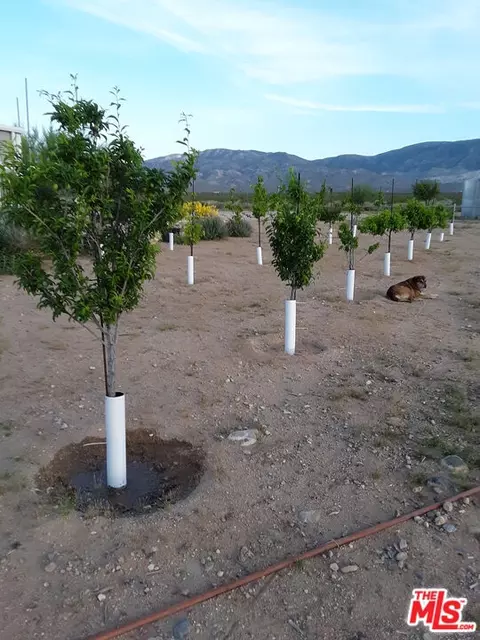 Exterior - 9025 Camp Rock Rd, Lucerne Valley, CA 92356 photo 3 of 3