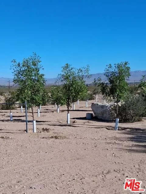Bedroom - 9025 Camp Rock Rd, Lucerne Valley, CA 92356 photo 1 of 2