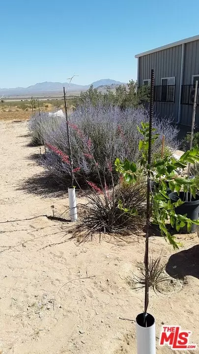 Other - 9025 Camp Rock Rd, Lucerne Valley, CA 92356 photo 32 of 34