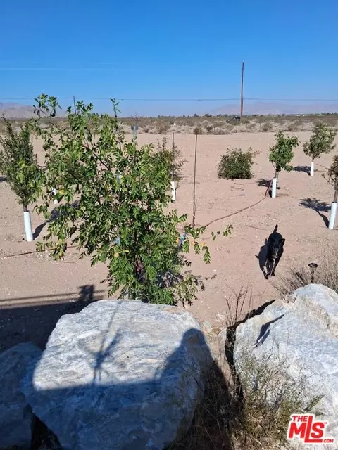 Other - 9025 Camp Rock Rd, Lucerne Valley, CA 92356 photo 24 of 34