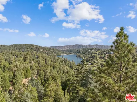 View/Area - 24612 Bernard Dr, Crestline, CA 92325 photo 1 of 3