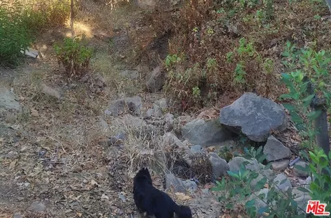 0 Vulcan Ln, Topanga, CA 90290 photo 21