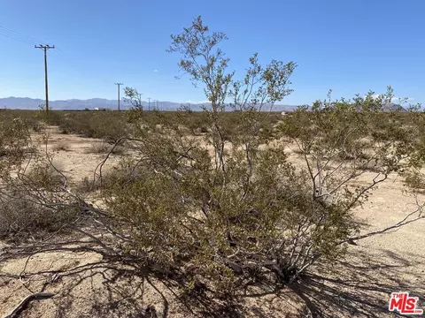 0 Sonora Rd, Joshua Tree, CA 92285 photo 9