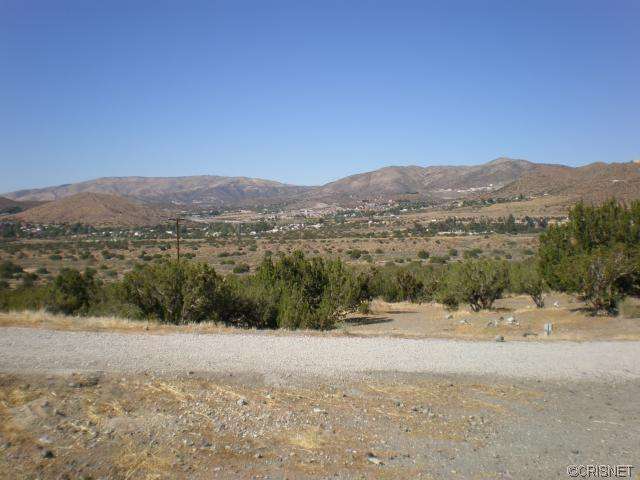 1602 Searchlight Ranch Rd, Acton, CA 93510 photo 18