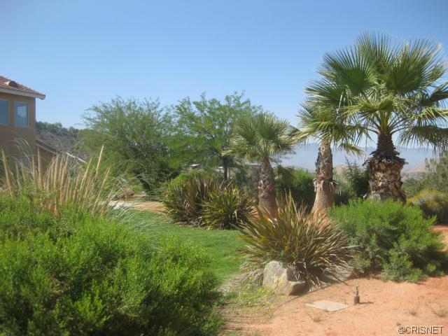 34109 Desert Rd, Acton, CA 93510 photo 34