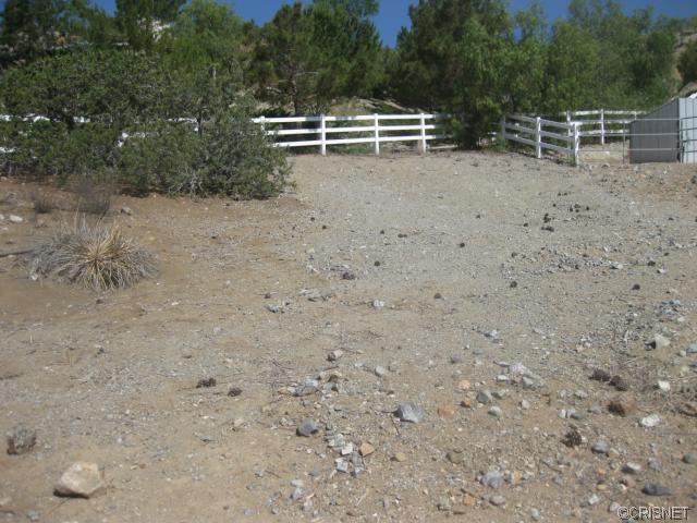 34109 Desert Rd, Acton, CA 93510 photo 31