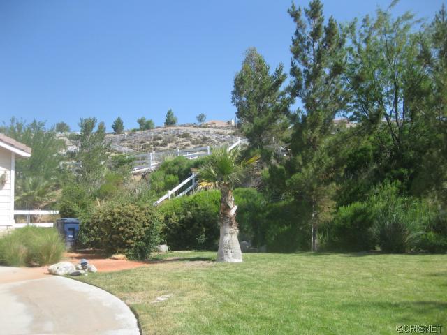34109 Desert Rd, Acton, CA 93510 photo 23