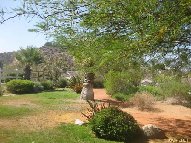 34109 Desert Rd, Acton, CA 93510 photo 25
