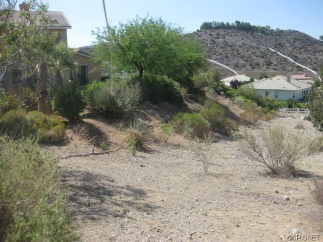 34109 Desert Rd, Acton, CA 93510 photo 32