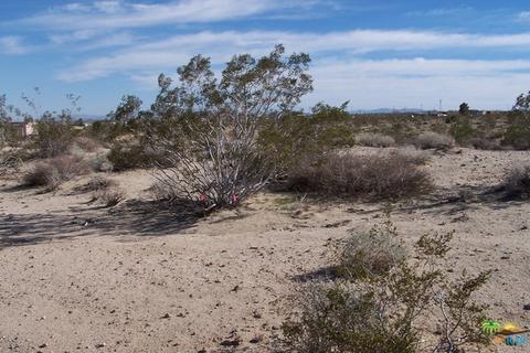 55425 Pleasant Vw, Landers, CA 92285 photo 1